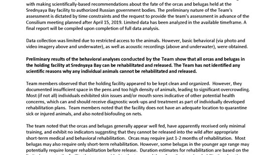 JMC_WSP-Executive-Summary-Preliminary-Assessment-560x315