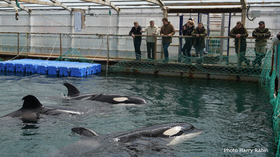 RABIN_09843 GOV JMC ORCAS in P3 560x315