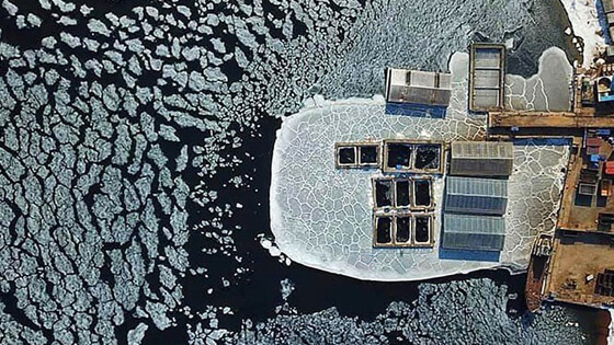 Russia-1-whale-jail-6-siberiantimes-crop 560x315
