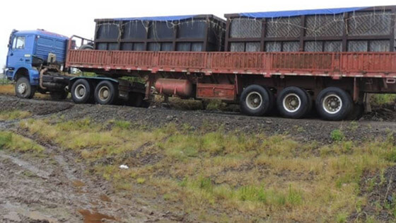 Truck transport 1 560x315
